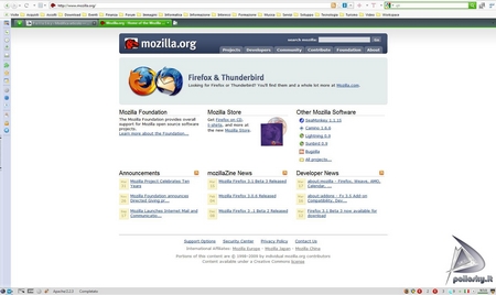 pollosky_firefox_200903